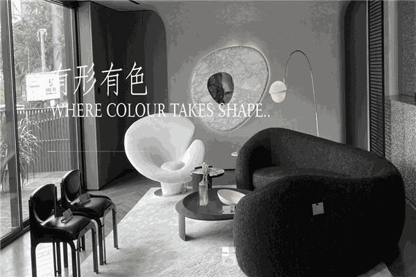 吉纳思艺术涂料加盟