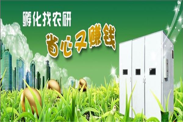 农研牌孵化机加盟 农研牌孵化机加盟