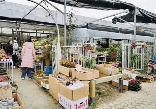 一号花铺加盟 一号花铺加盟