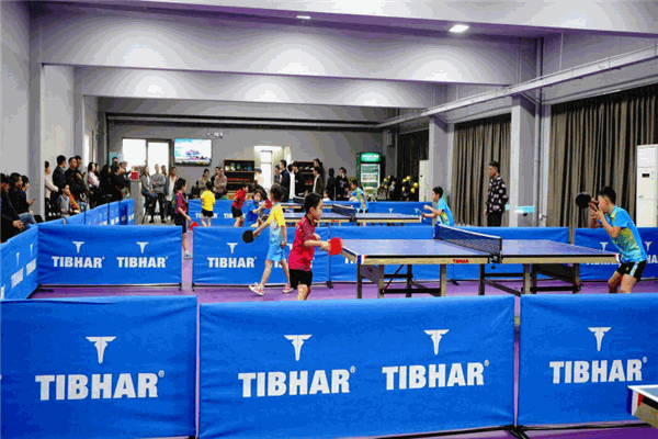 励鑫乒乓俱乐部加盟