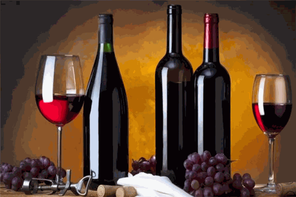 卡尼露娜葡萄酒加盟