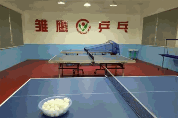 雏鹰乒乓球俱乐部加盟